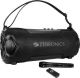 Zebronics ZEB-SOUND FEAST 100 (Black)