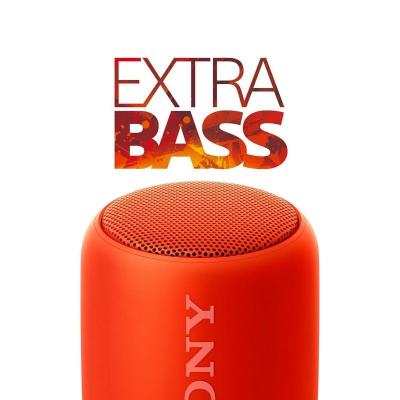 What experts say about Sony Extra Bass SRS-XB10 Portable Wireless Speaker